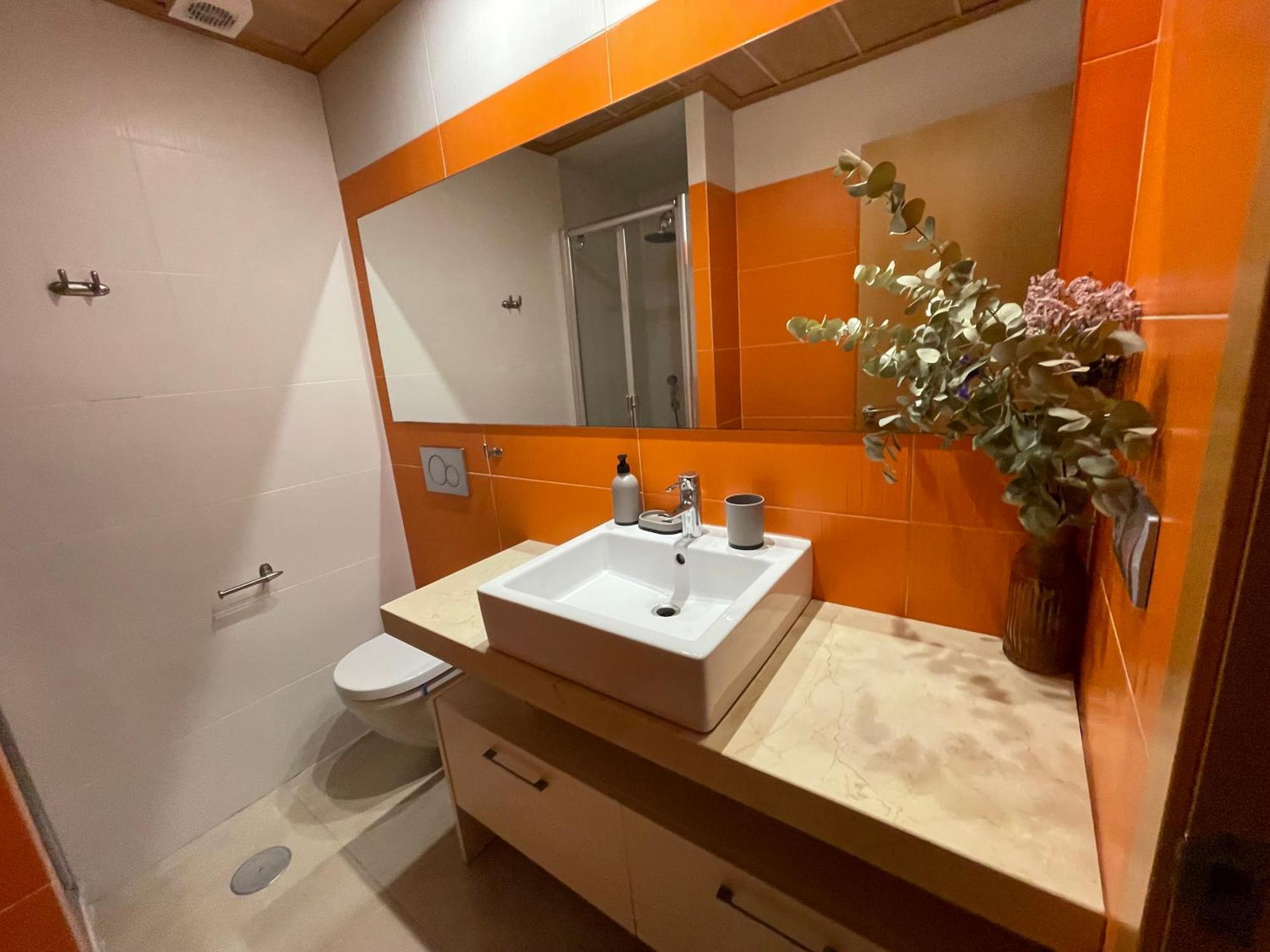Taima Flats 1 * Alacant